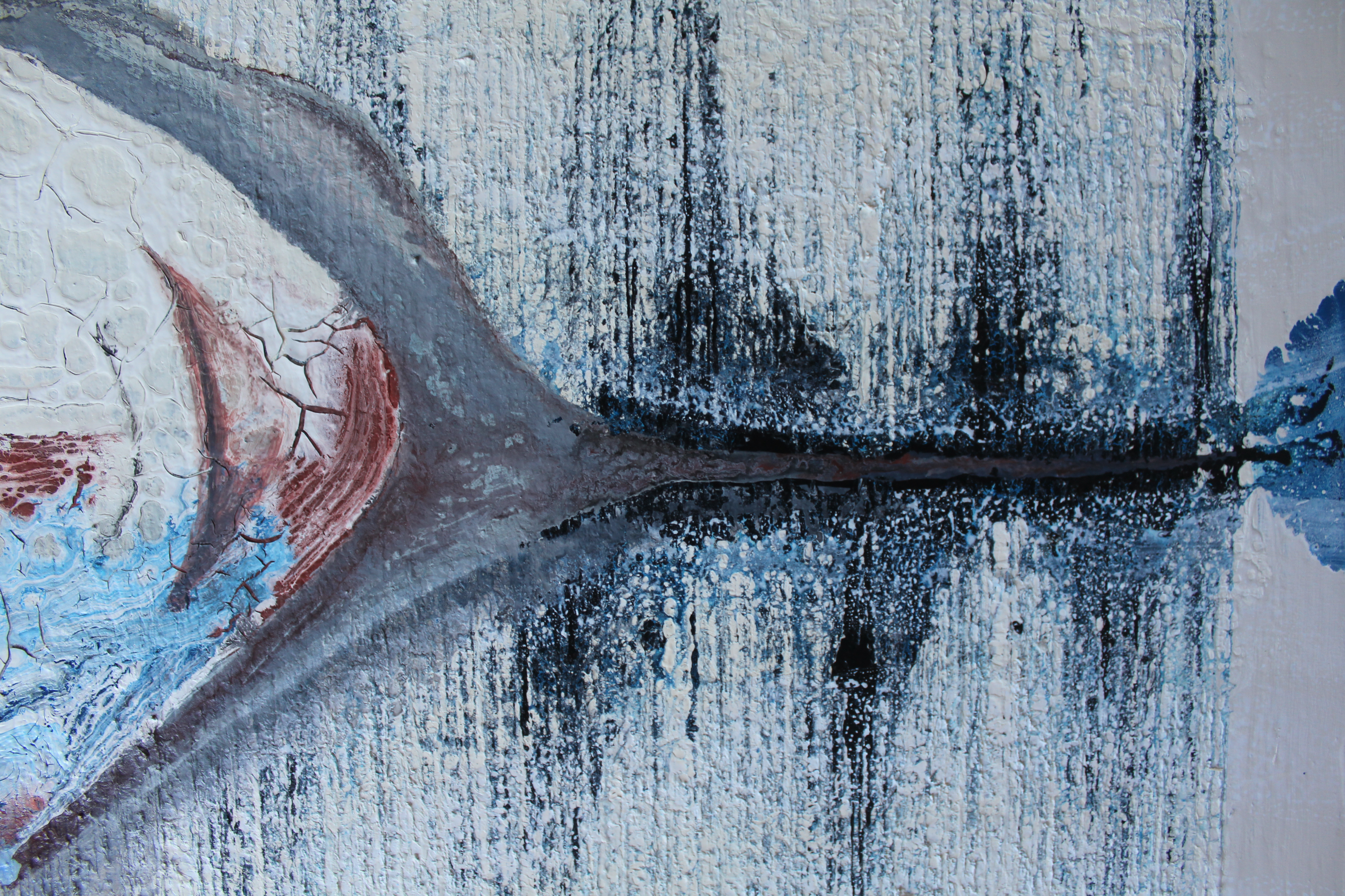 chiedo scusa - immagine 2