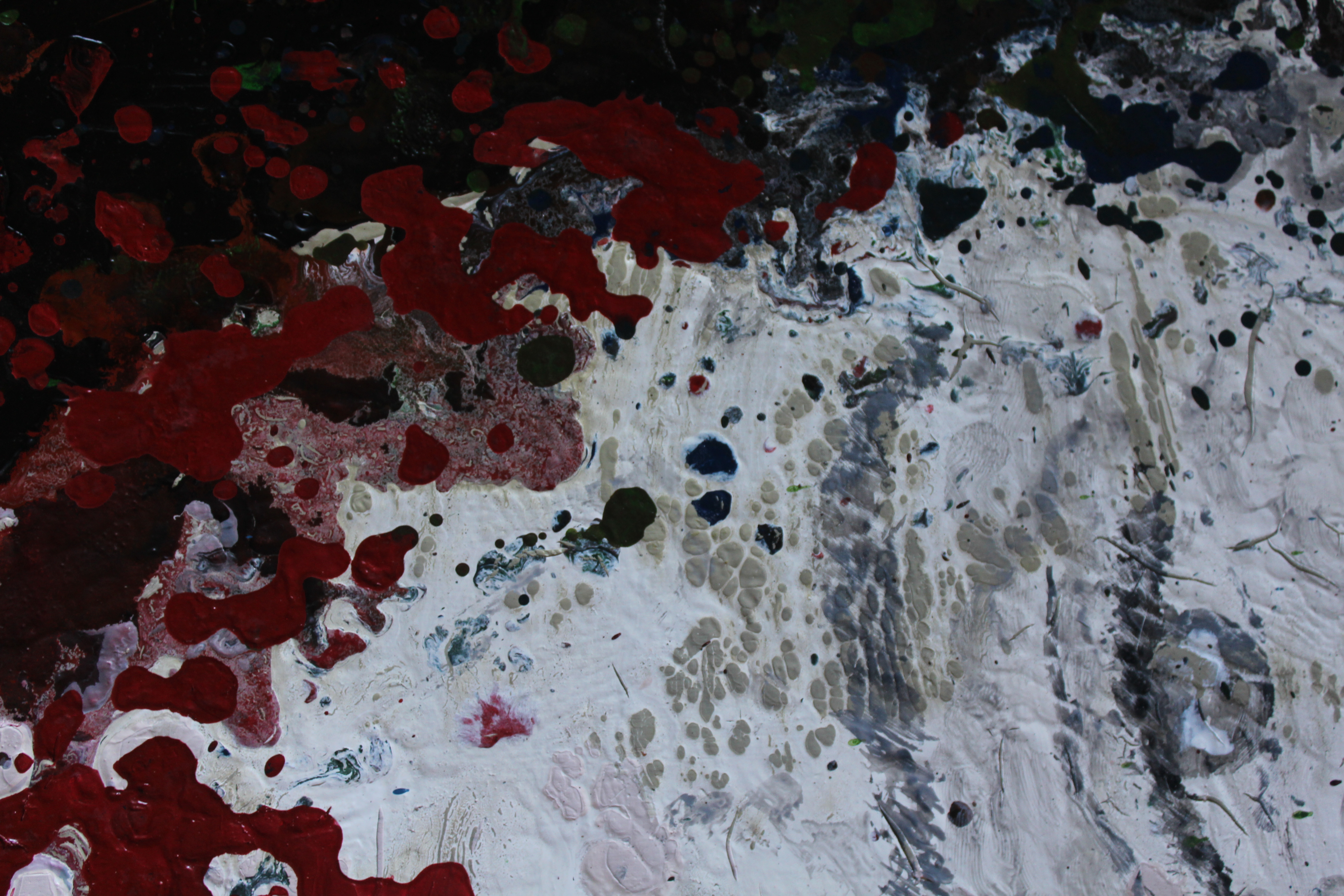 kamilla - immagine 2