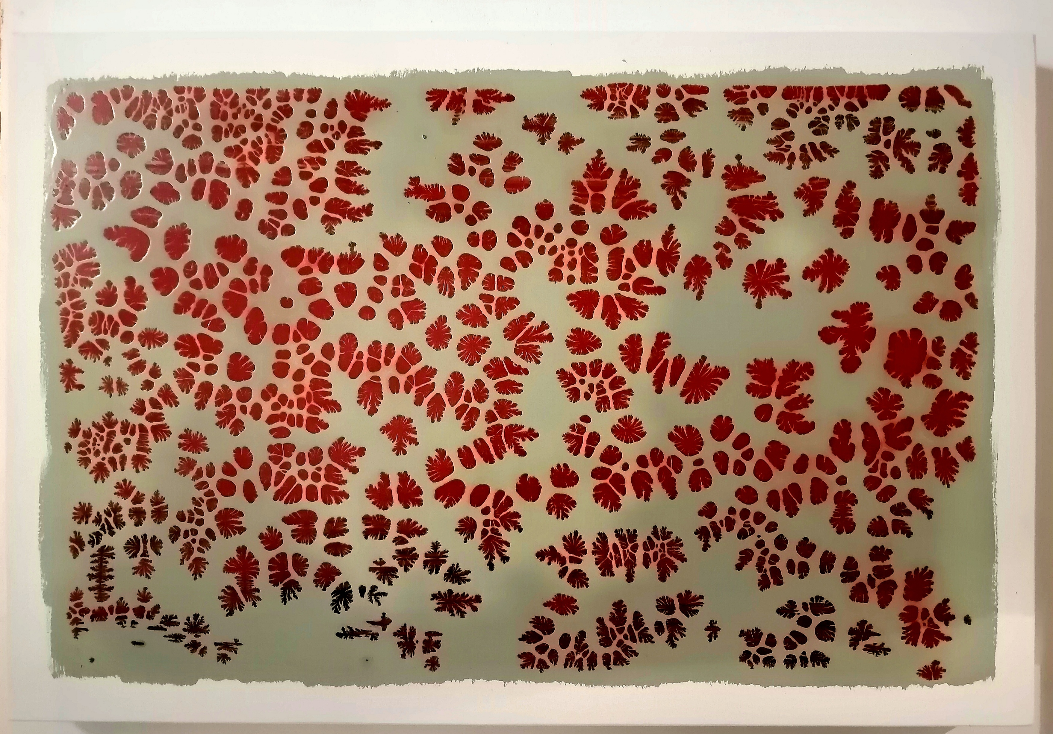 senza titolo - immagine 1